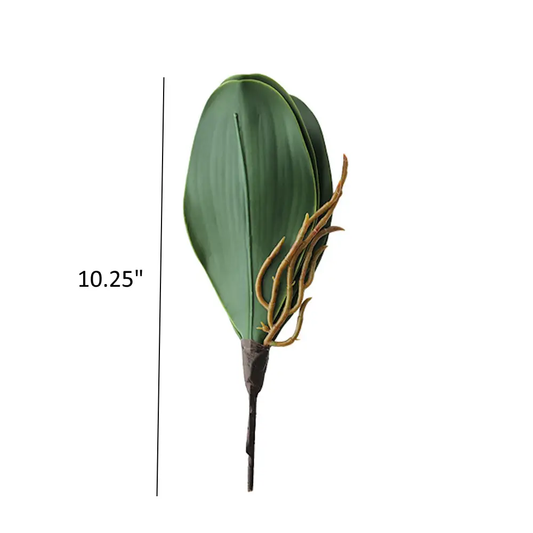 10" Orchid Leaves