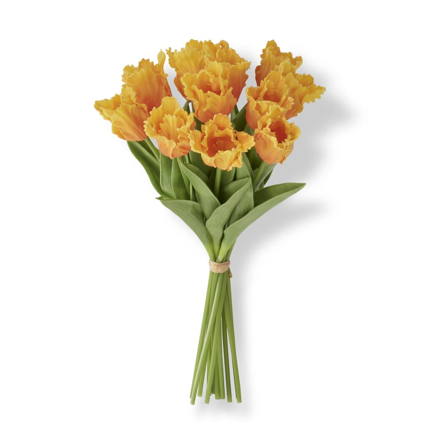 Light Orange Real Touch Parrot Tulip Bundle, 12 stems, 13"