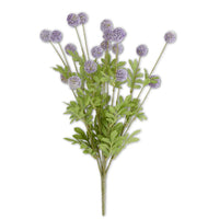 Purple Mini Allium Bush, 22"