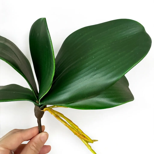 10" Orchid Leaves