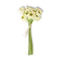 Cream Mini Ranunculus Bundle (7 Stems), 11"