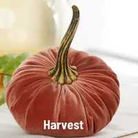 Handmade Large Velvet Pumpkin