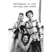 Friendship is Like Greeting Card