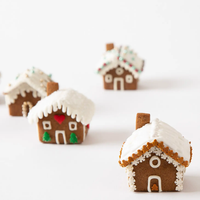 Gingerbread Tiny Home Kit