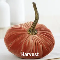 Handmade Velvet Pumpkin, Small