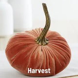 Handmade Velvet Pumpkin, Small