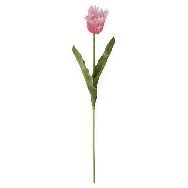 Mauve Real Touch Parrot Tulip, 23"