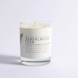 Sandalwood Fern Candle, 13oz