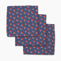 Four in a Row Dot Blue Dishcloth Set