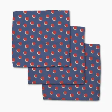 Four in a Row Dot Blue Dishcloth Set
