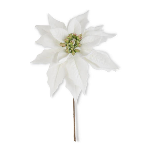 Poinsettia Pick, White