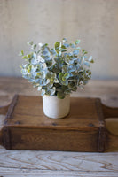 Artificial Boxwood Plant in White Cement Pot